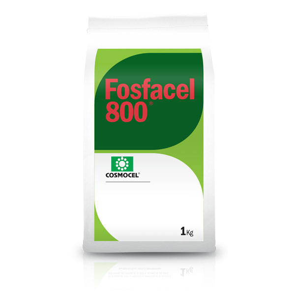 FOSFACEL 800