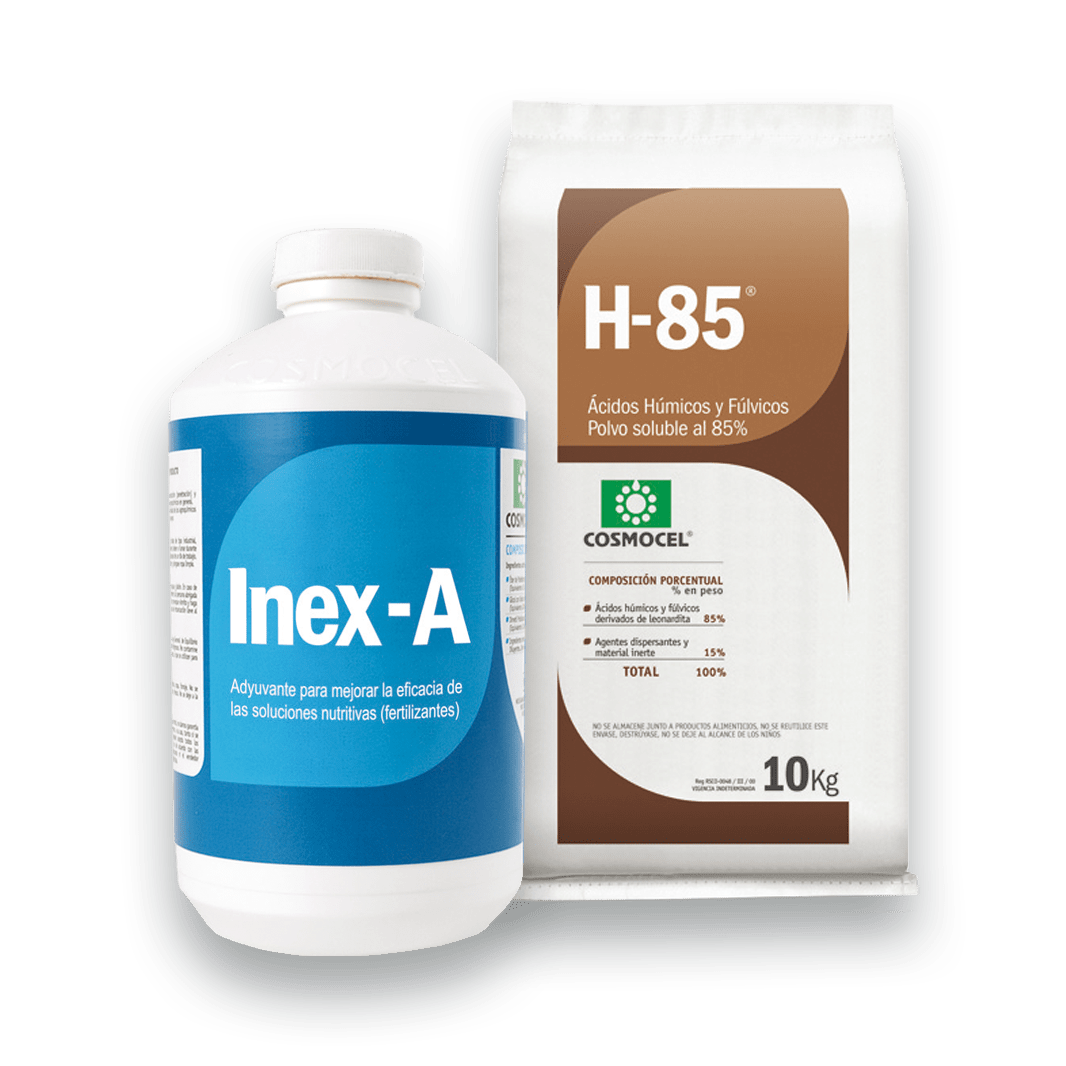 Inex-A y H-85
